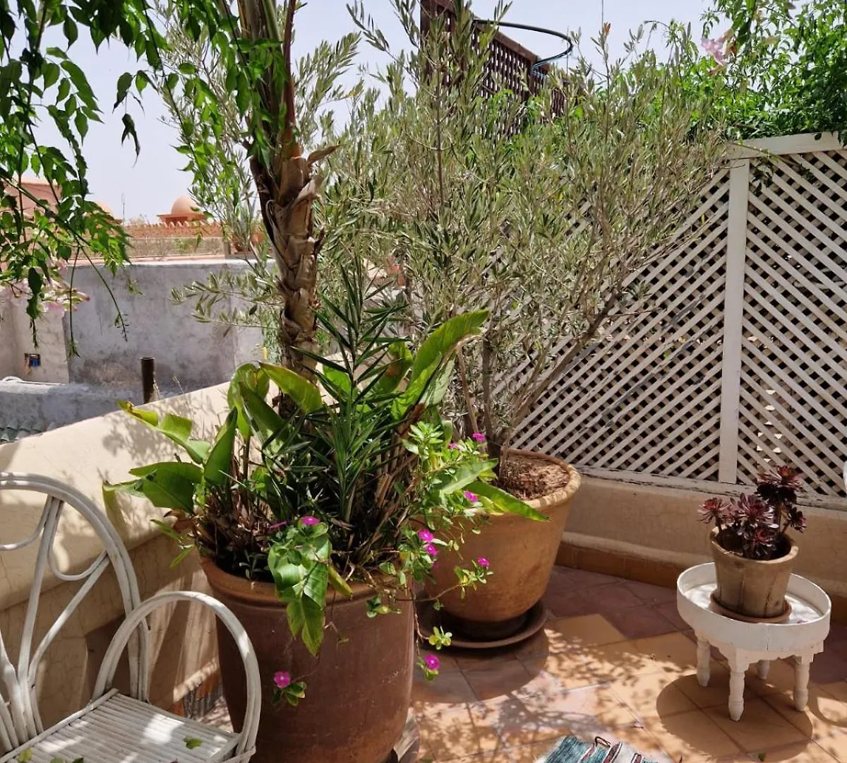 Appartement Made In Berbere à Marrakesh Séjour chez l'habitant